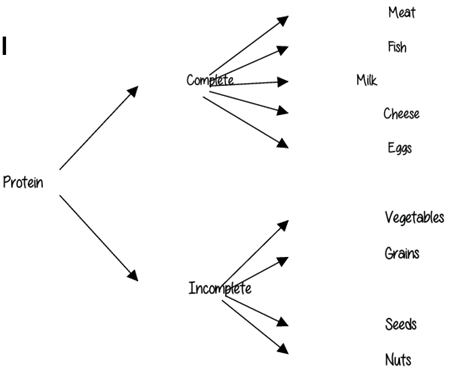 complete and incomplete proteins